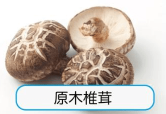 原木シイタケ