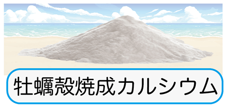 牡蠣殻焼成カルシウム